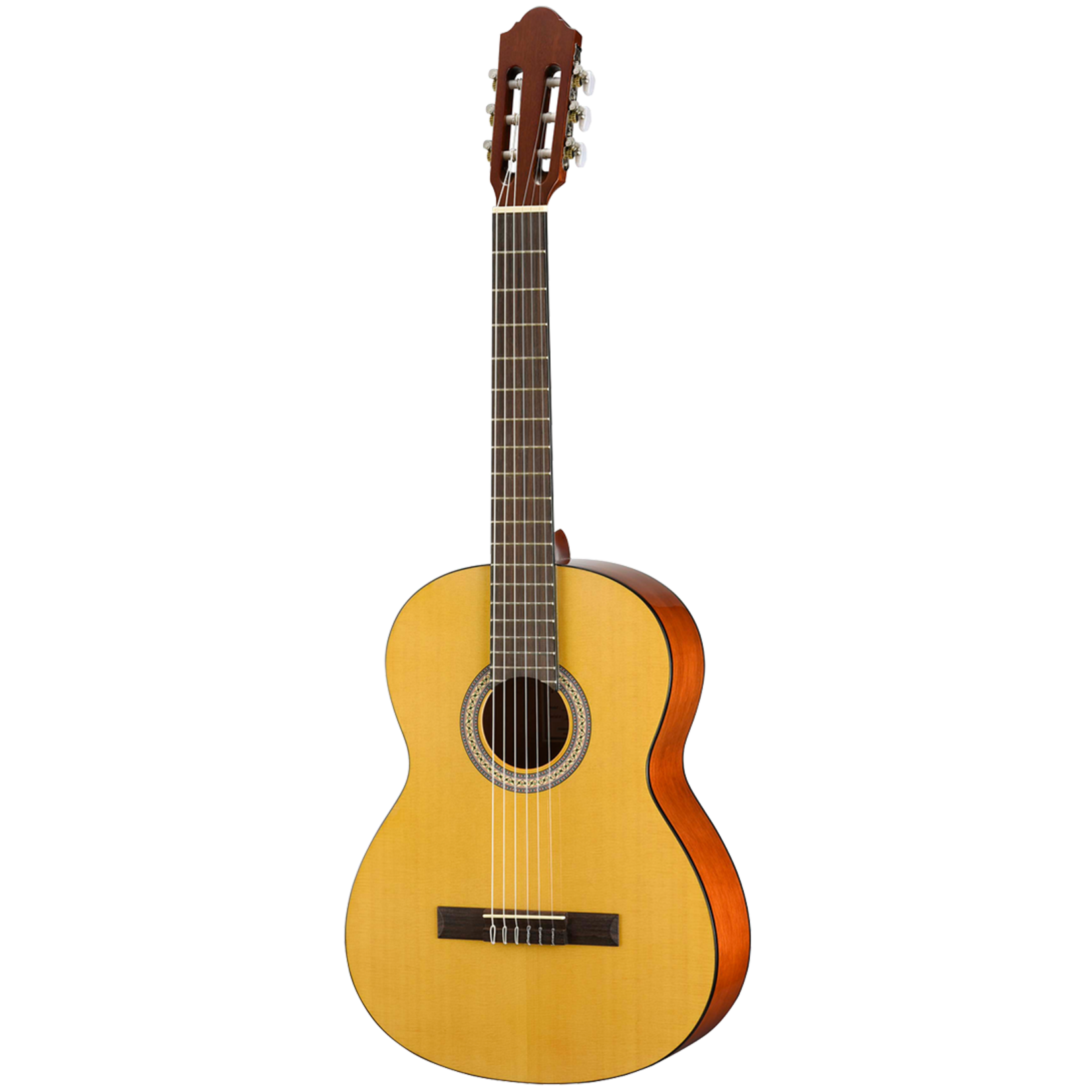 Walden Guitars N350 Standard Nylon Classical - Gloss Natural w/ Gig Bag