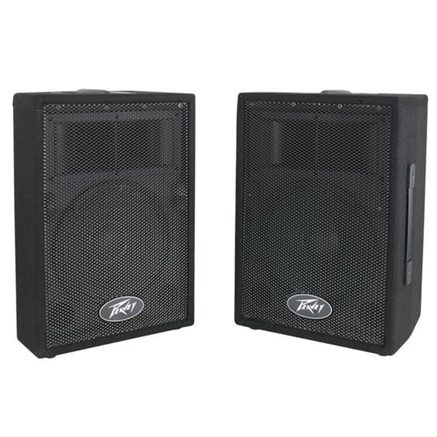 Peavey PVI 10 Speaker - Pair