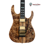 IBANEZ Ibanez RGT1220PB Premium Electric Guitar - Antique Brown Stained W/Gig Bag
