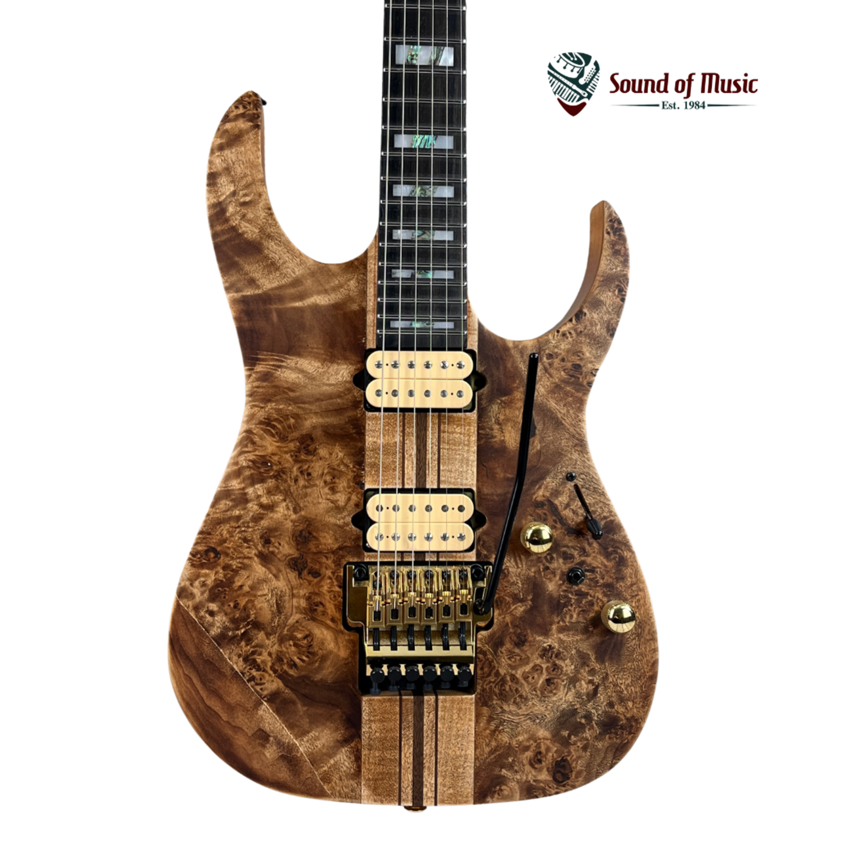 Ibanez RGT1220PB Premium Electric Guitar - Antique Brown Stained W/Gig Bag