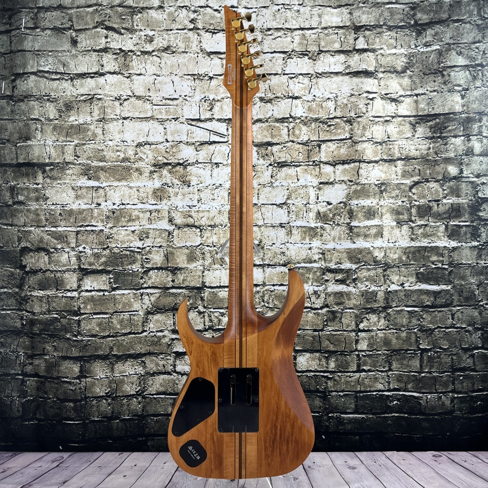 Ibanez RGT1220PB Premium Electric Guitar - Antique Brown Stained W/Gig Bag
