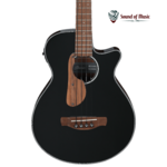 IBANEZ Ibanez AEGB24E Acoustic-Electric Bass - Black High Gloss