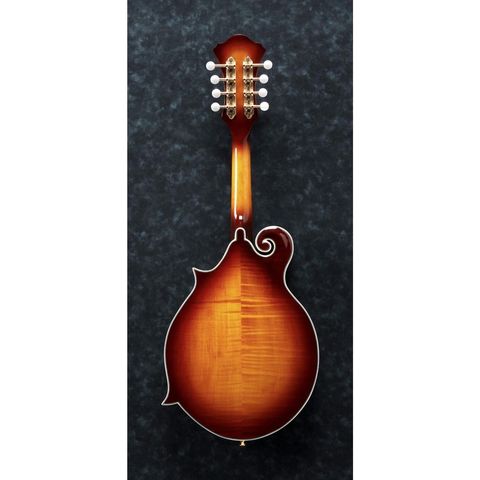 Ibanez M700S F Style Mandolin-Antique Violin Sunburst