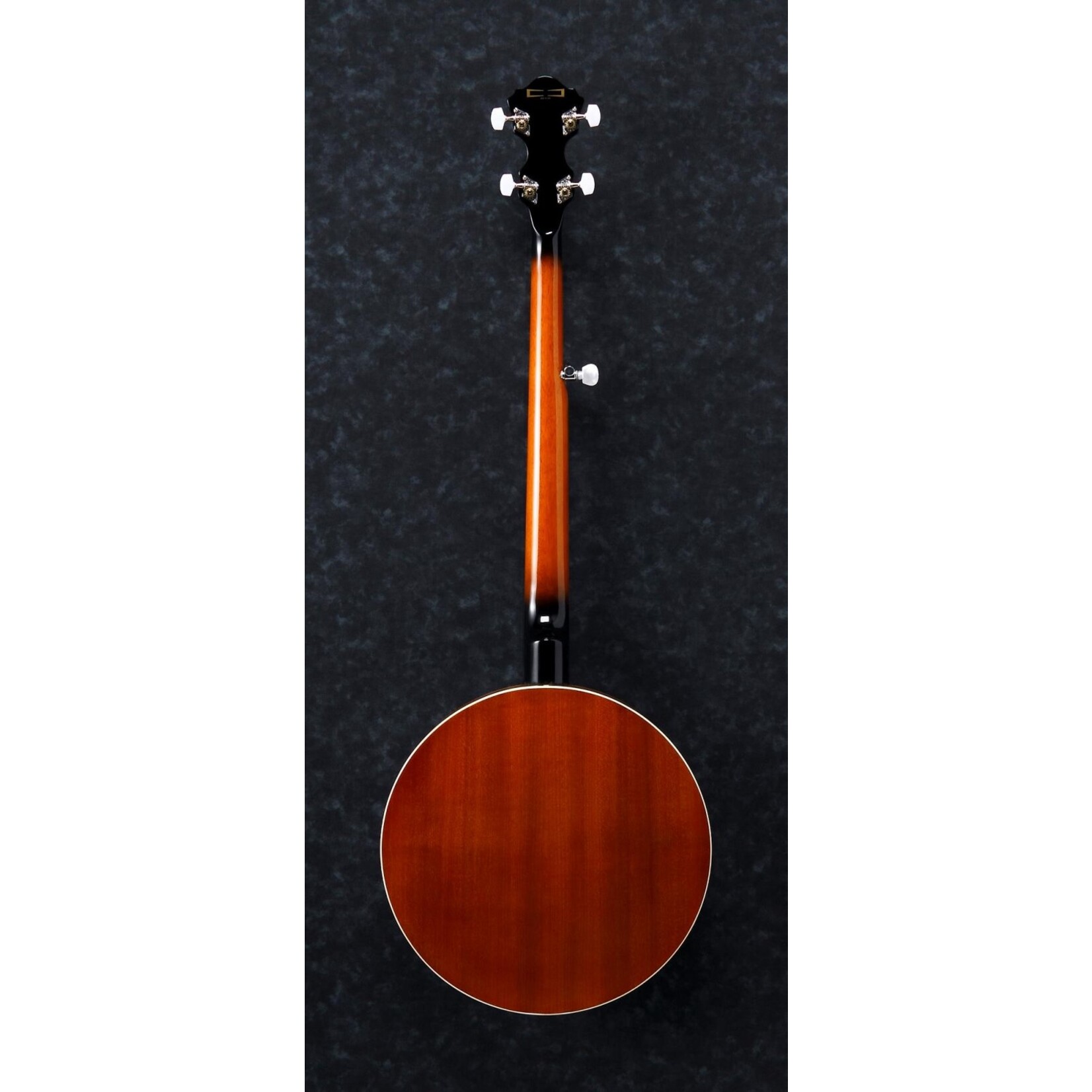 Ibanez B50 5 String Closed Back/Resonator Banjo