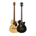 Acoustic Bass Guitars