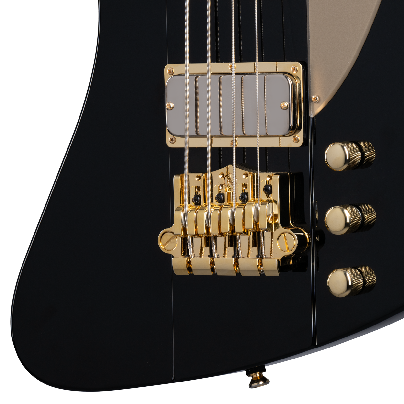 Epiphone Rex Brown Thunderbird Electric Bass W/Case - Ebony