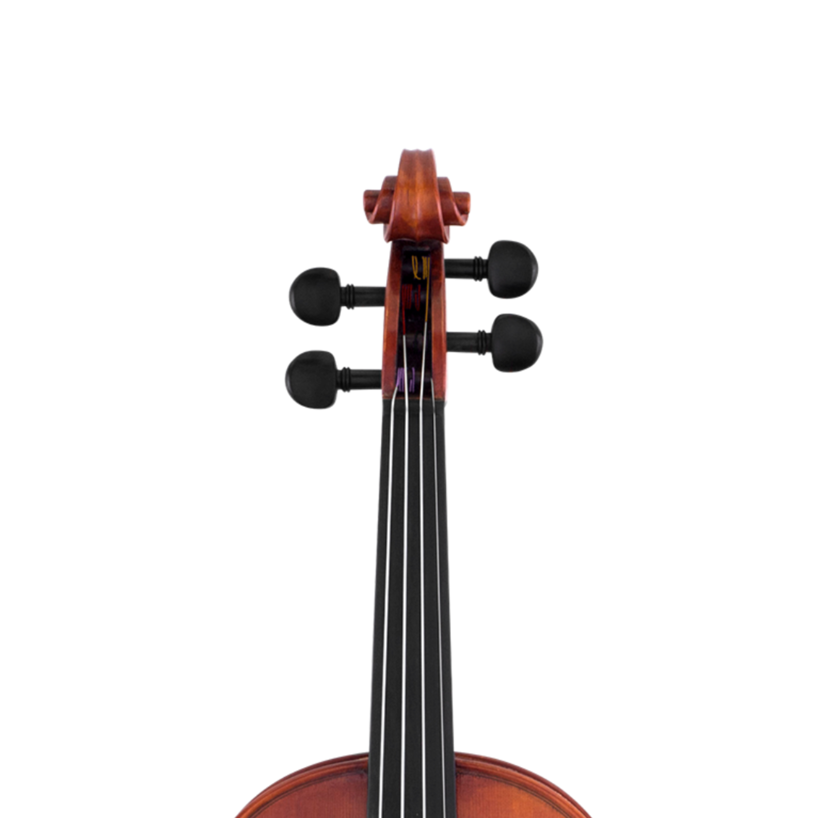 Scherl & Roth SR62E16H 16-inch Sarabande Intermediate Viola Outfit