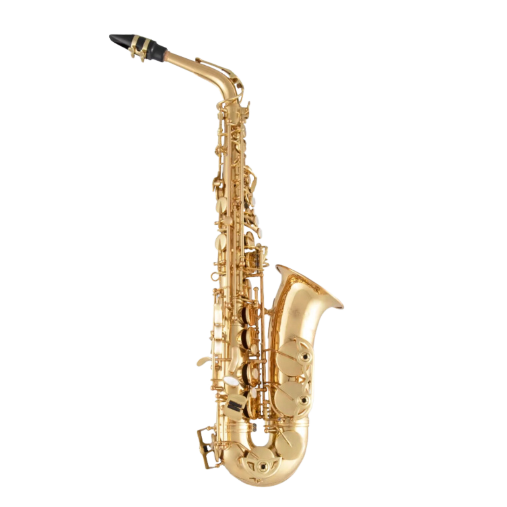 Selmer Eb Alto Saxophone Outfit SAS511 - Lacquer Finish