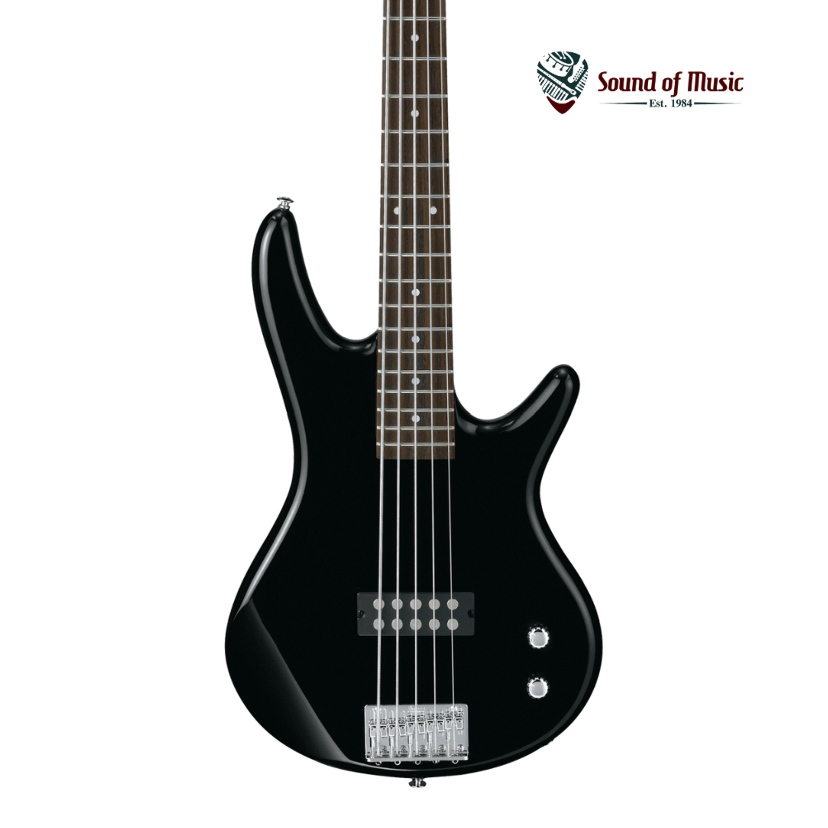 Ibanez Gio GSR105EX 5-String Bass Guitar - Black