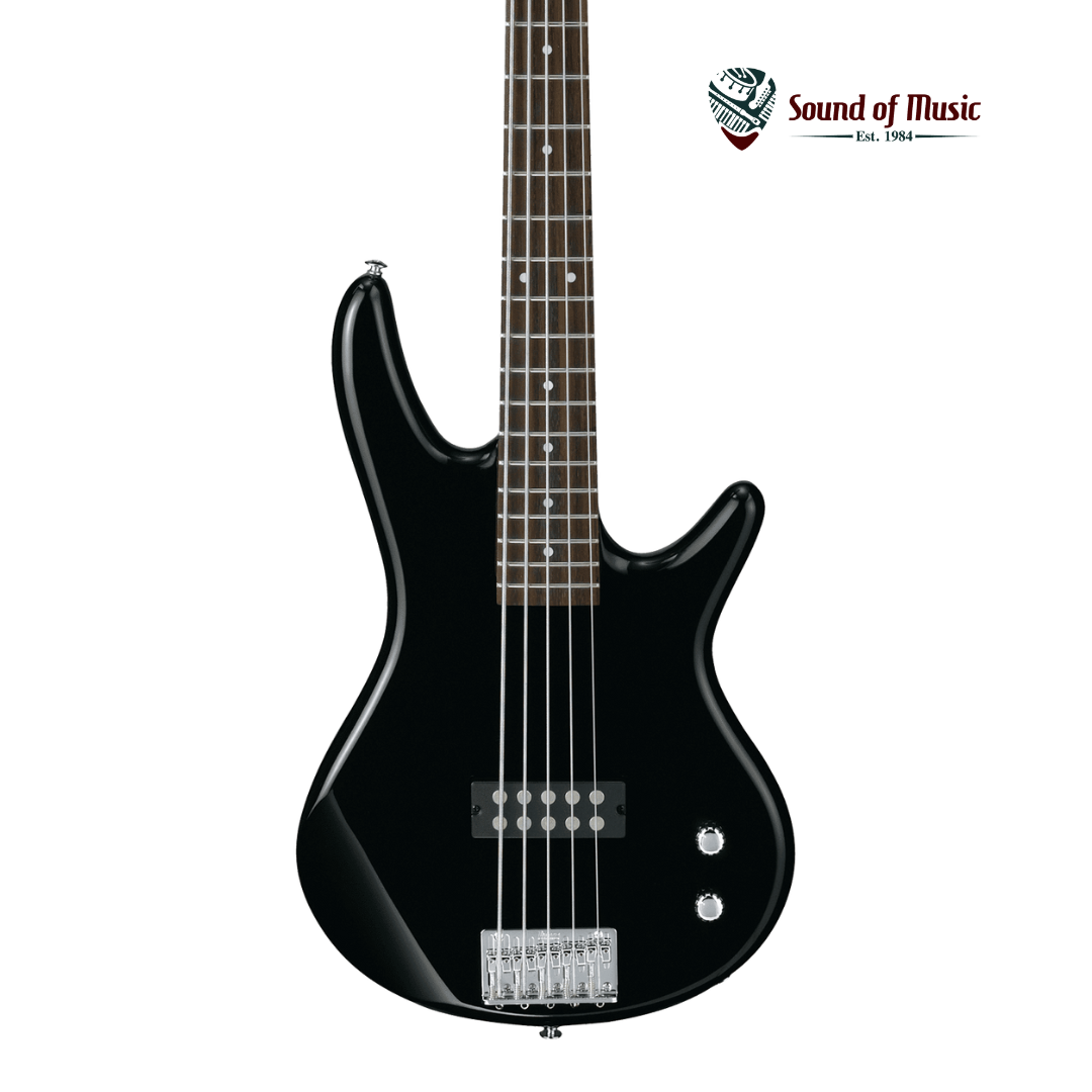 Ibanez Gio GSR105EX 5-String Bass Guitar - Black