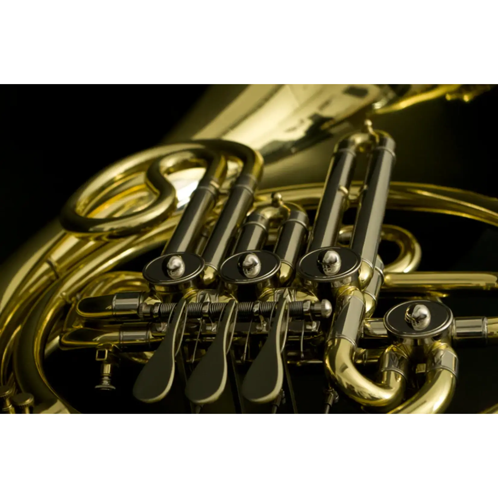 French Horn Rent to Own (French Horn per Month: New)