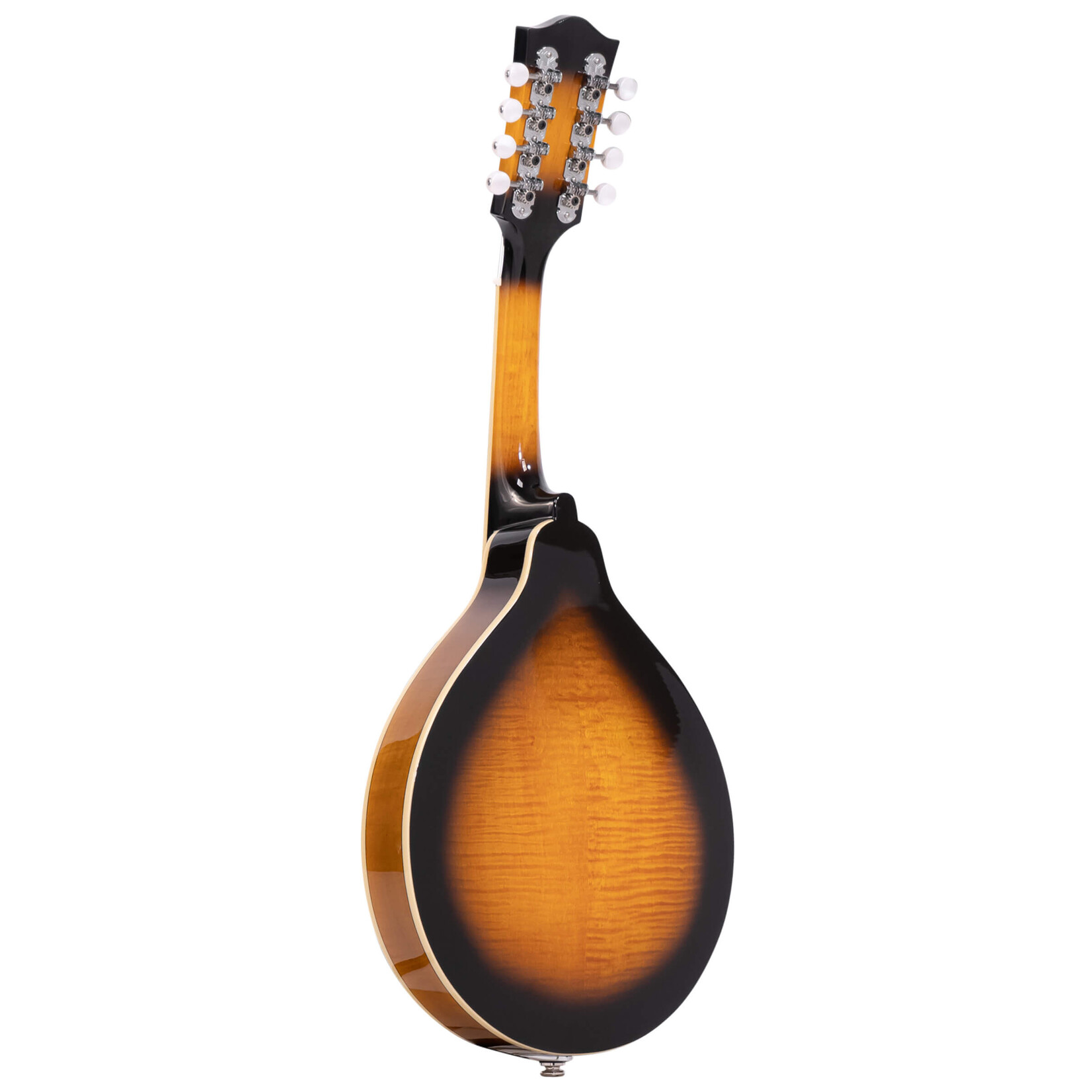 Gold Tone GM-50+: A-Style Mandolin with Pickup and Bag