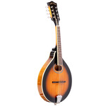 Gold Tone Gold Tone GM-50+: A-Style Mandolin with Pickup and Bag