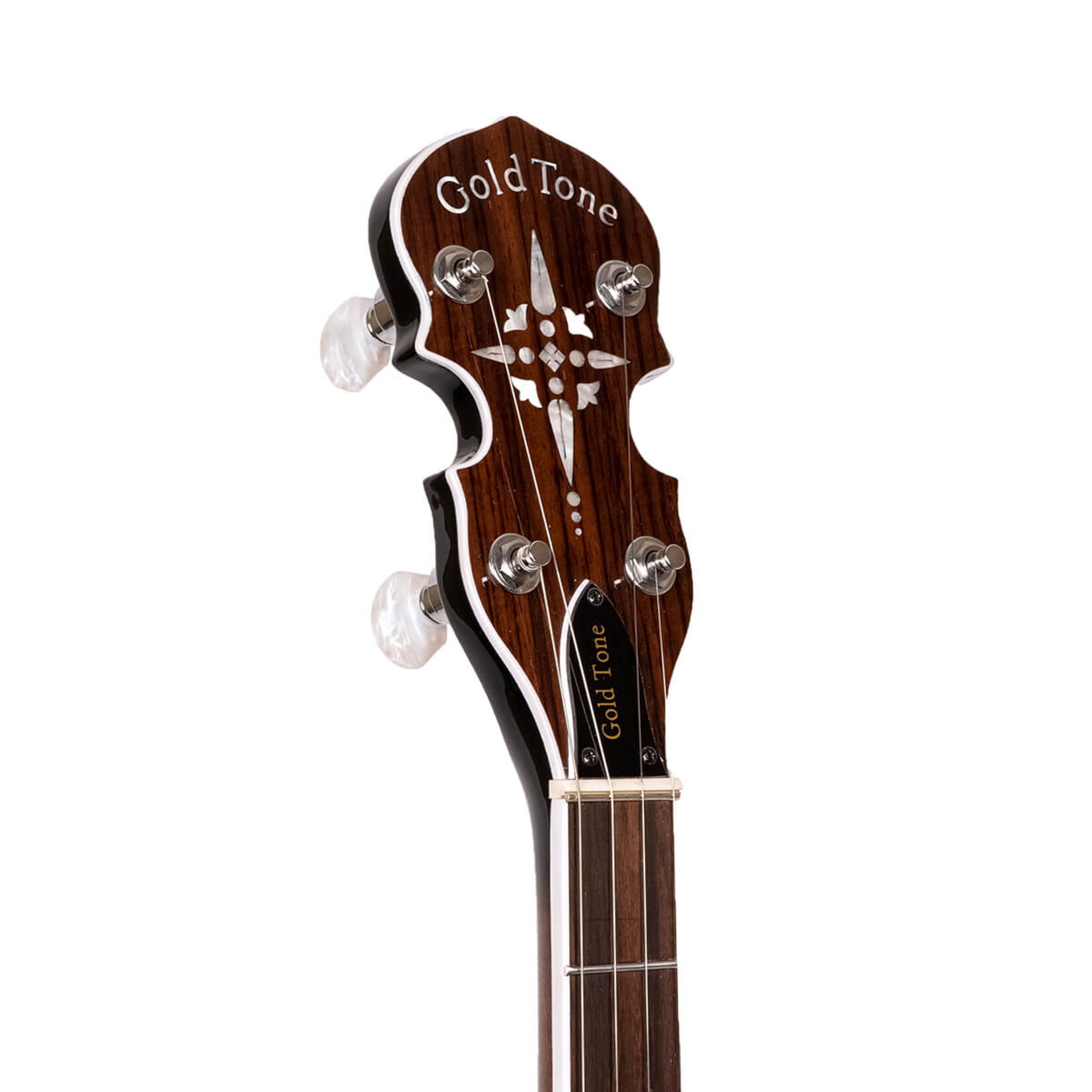 Gold Tone BG-150F Bluegrass Banjo W/ Flange and Bag