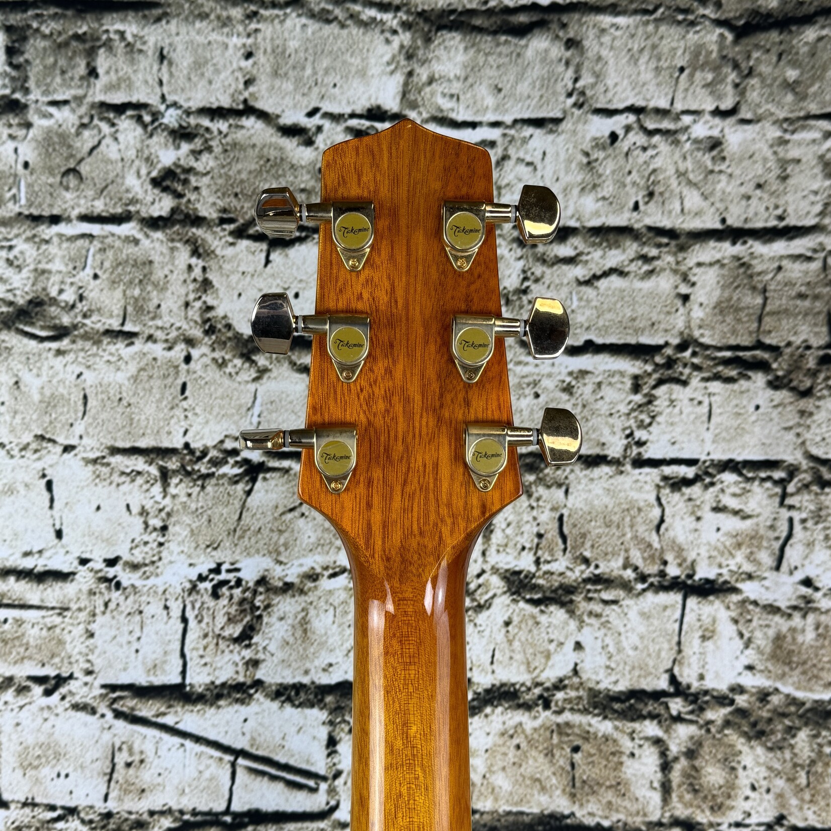 Takamine EG333C-LTD Dreadnought Acoustic-Electric Guitar - (Used)