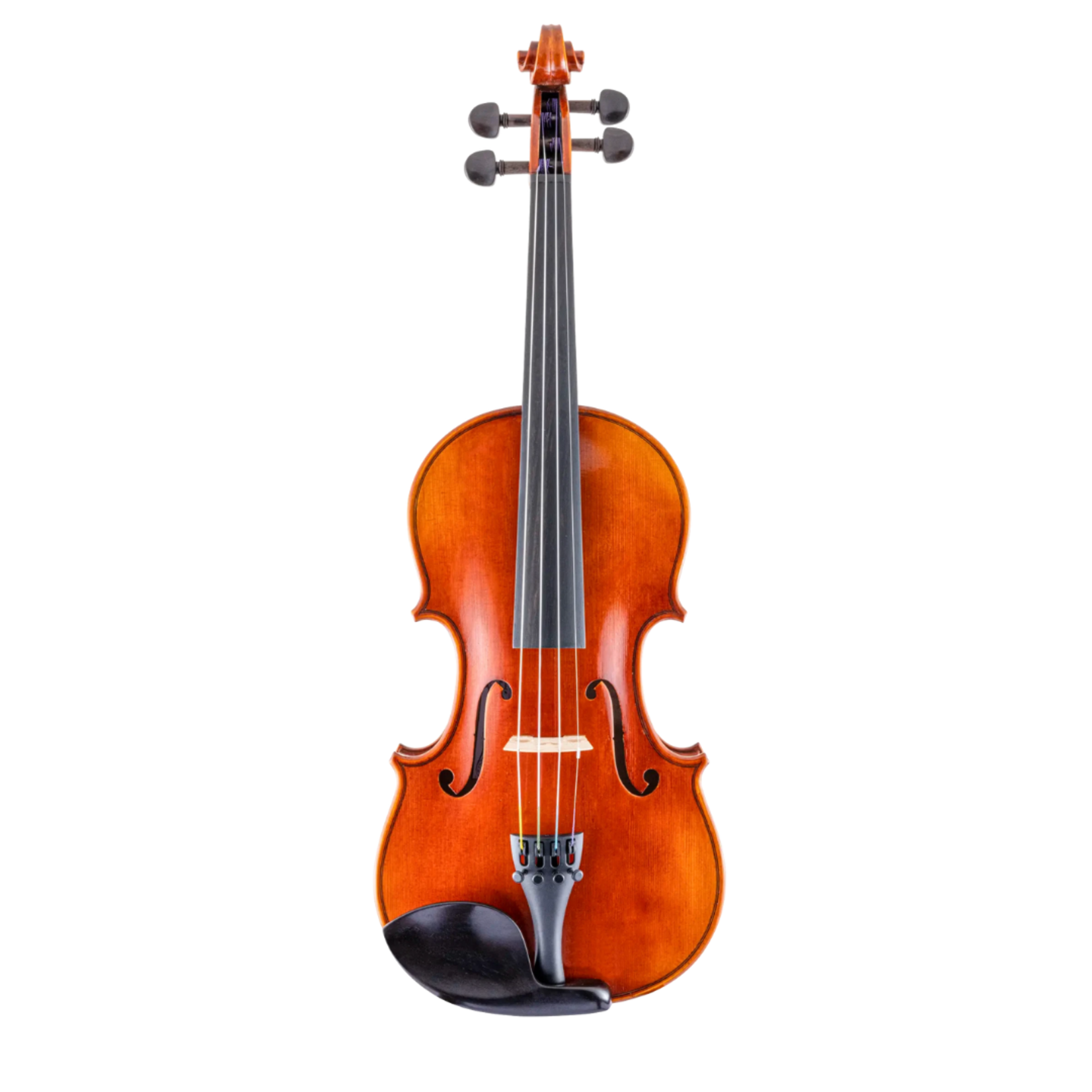 Scherl & Roth SR61E4H 4/4 Size Sarabande Intermediate Violin Outfit