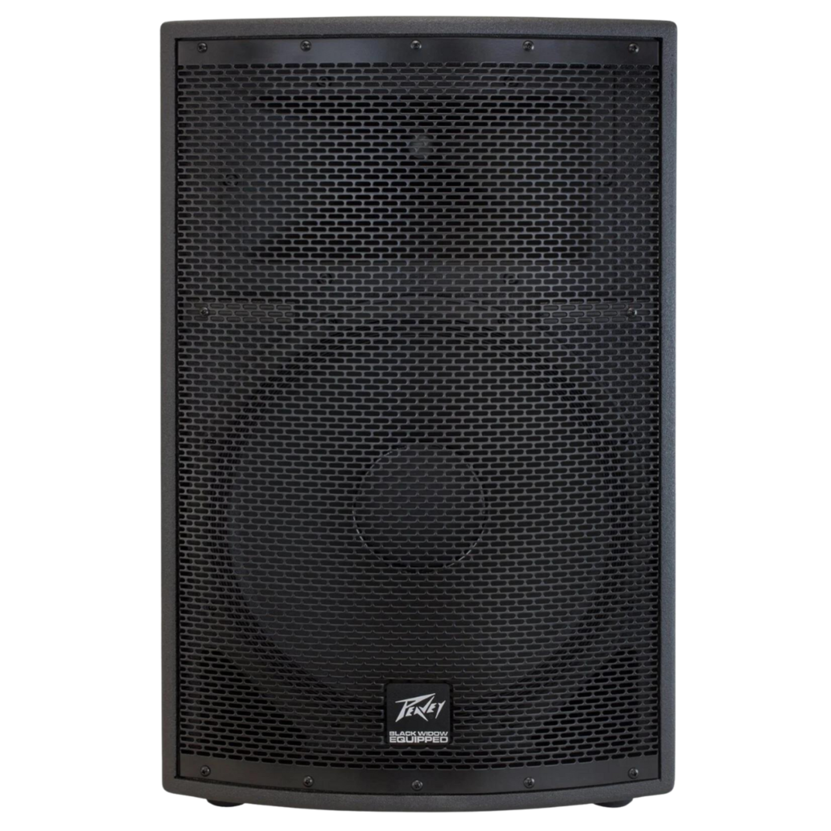 Peavey SP 2 Passive 1000-Watt 2-Way Speaker
