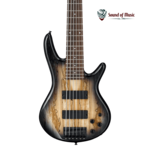 IBANEZ Ibanez Gio GSR206SMNGT Bass Guitar - Spalted Maple Top Natural Grey Burst