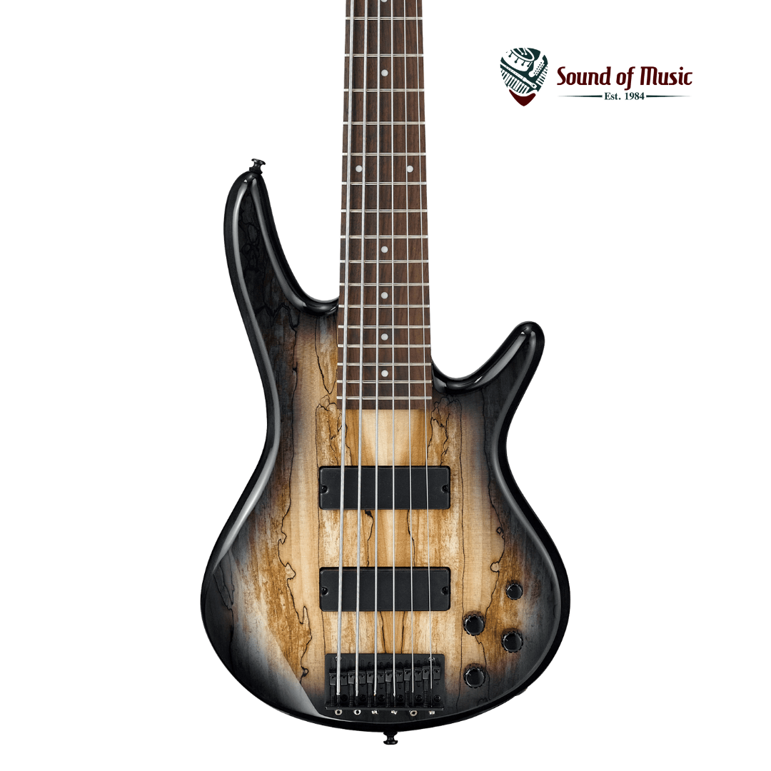 Ibanez Gio GSR206SMNGT 6-String Bass Guitar - Spalted Maple Top Natural Grey Burst