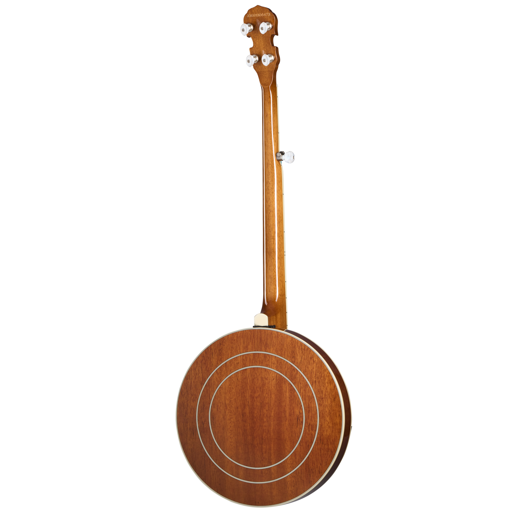 Epiphone Mastertone Classic Banjo W/Hardshell Case