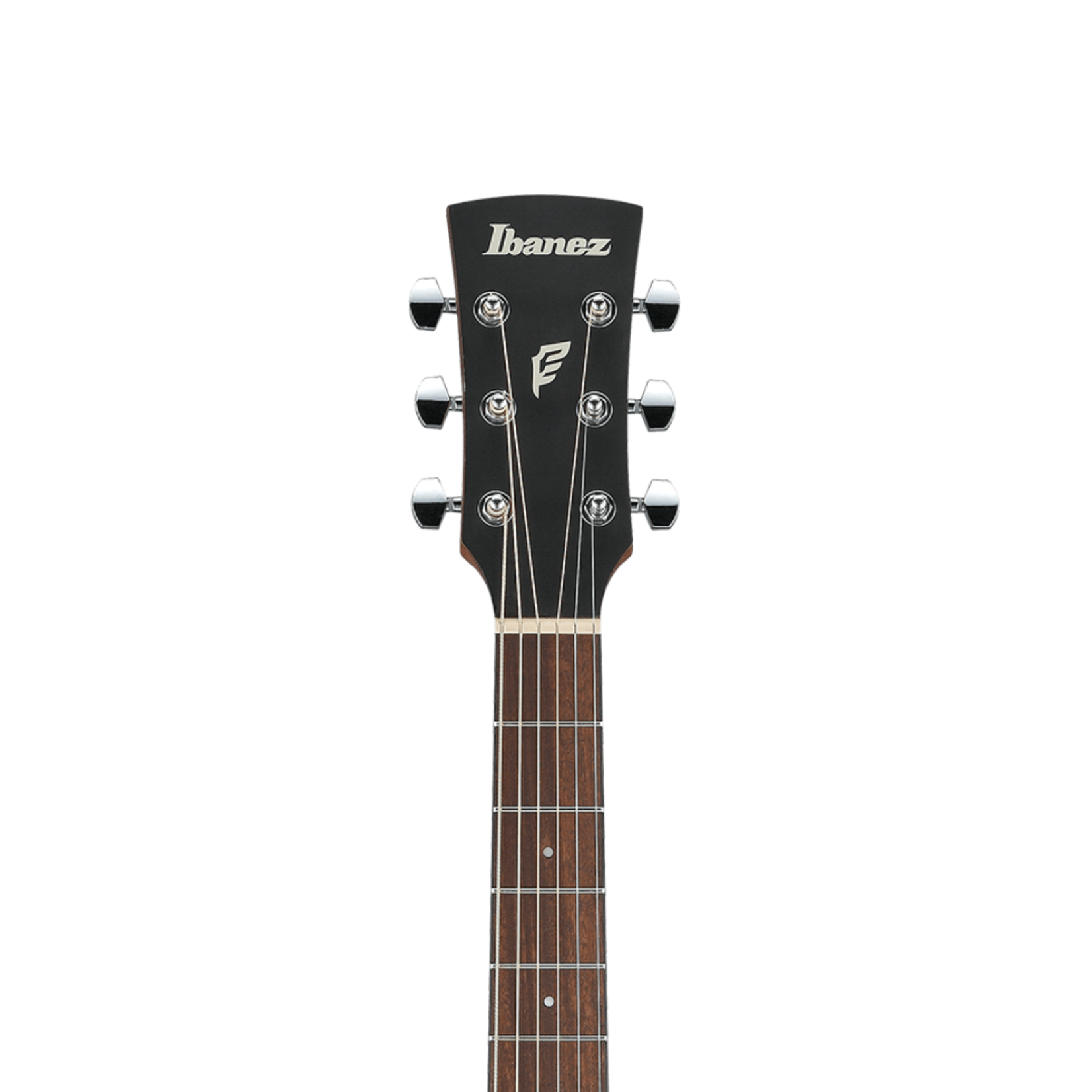 Ibanez PC54E Acoustic-Electric Guitar - Open-Pore Weathered Black