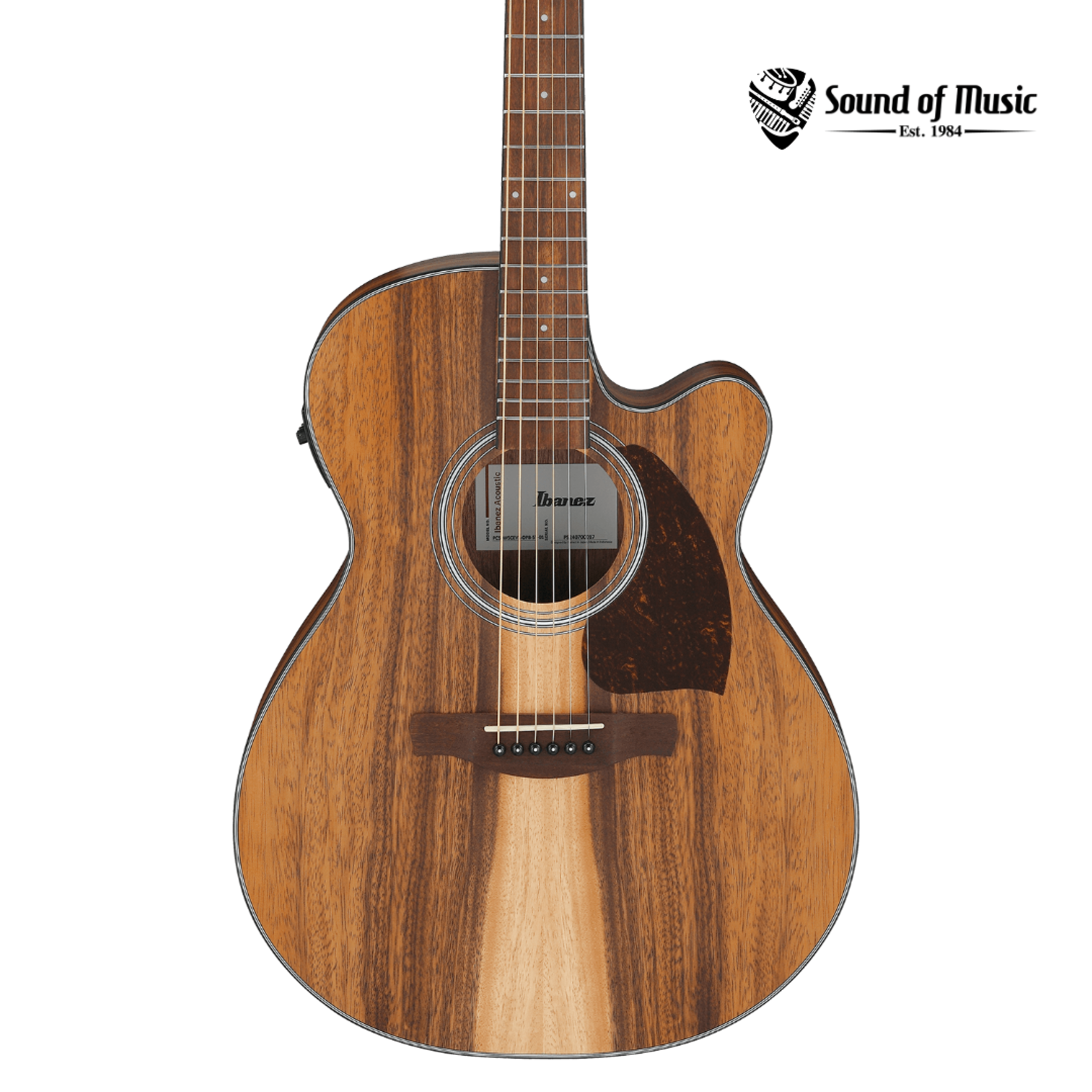 Ibanez PC50WSCE Acoustic-Electric Guitar - Open-Pore Natural