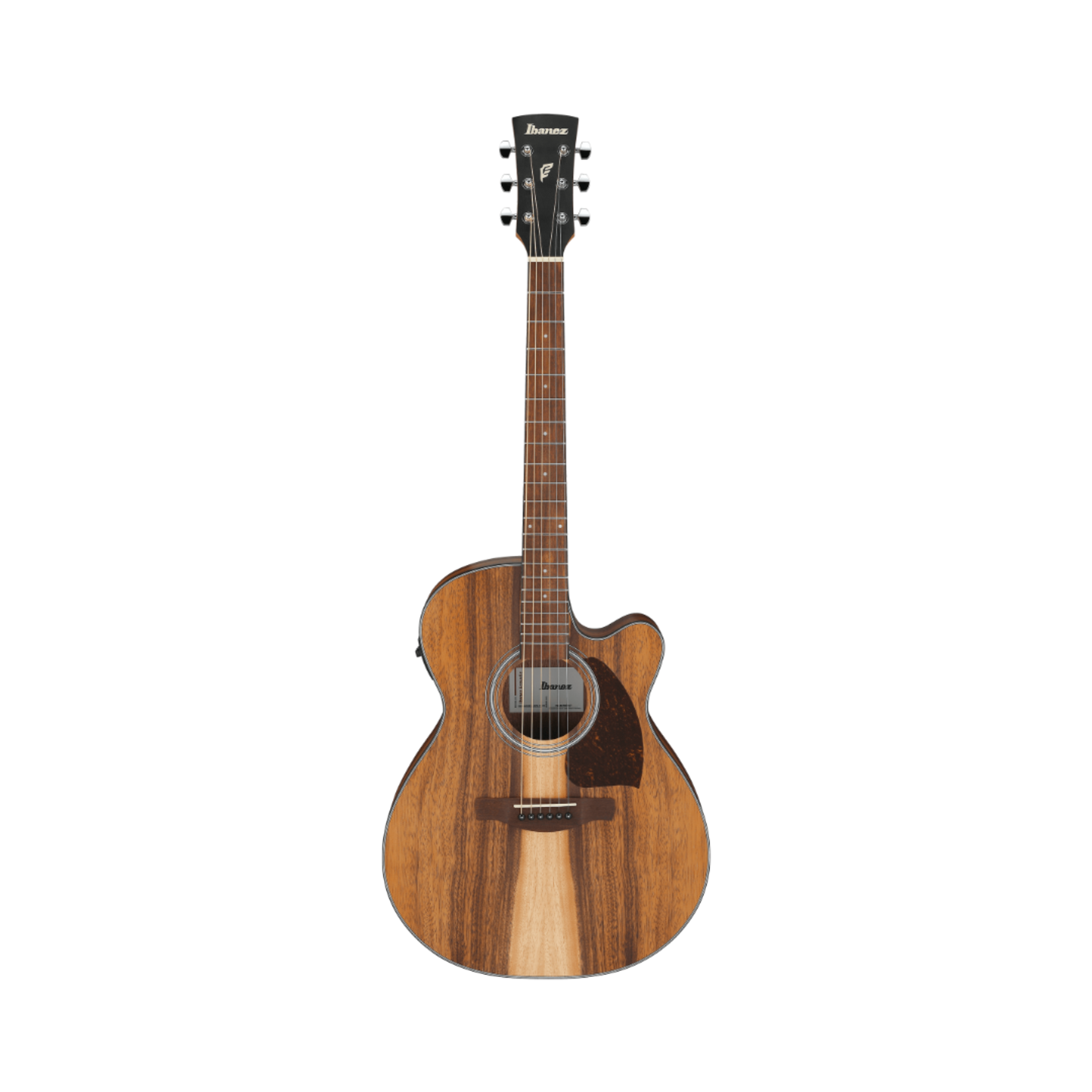 Ibanez PC50WSCE Acoustic-Electric Guitar - Open-Pore Natural