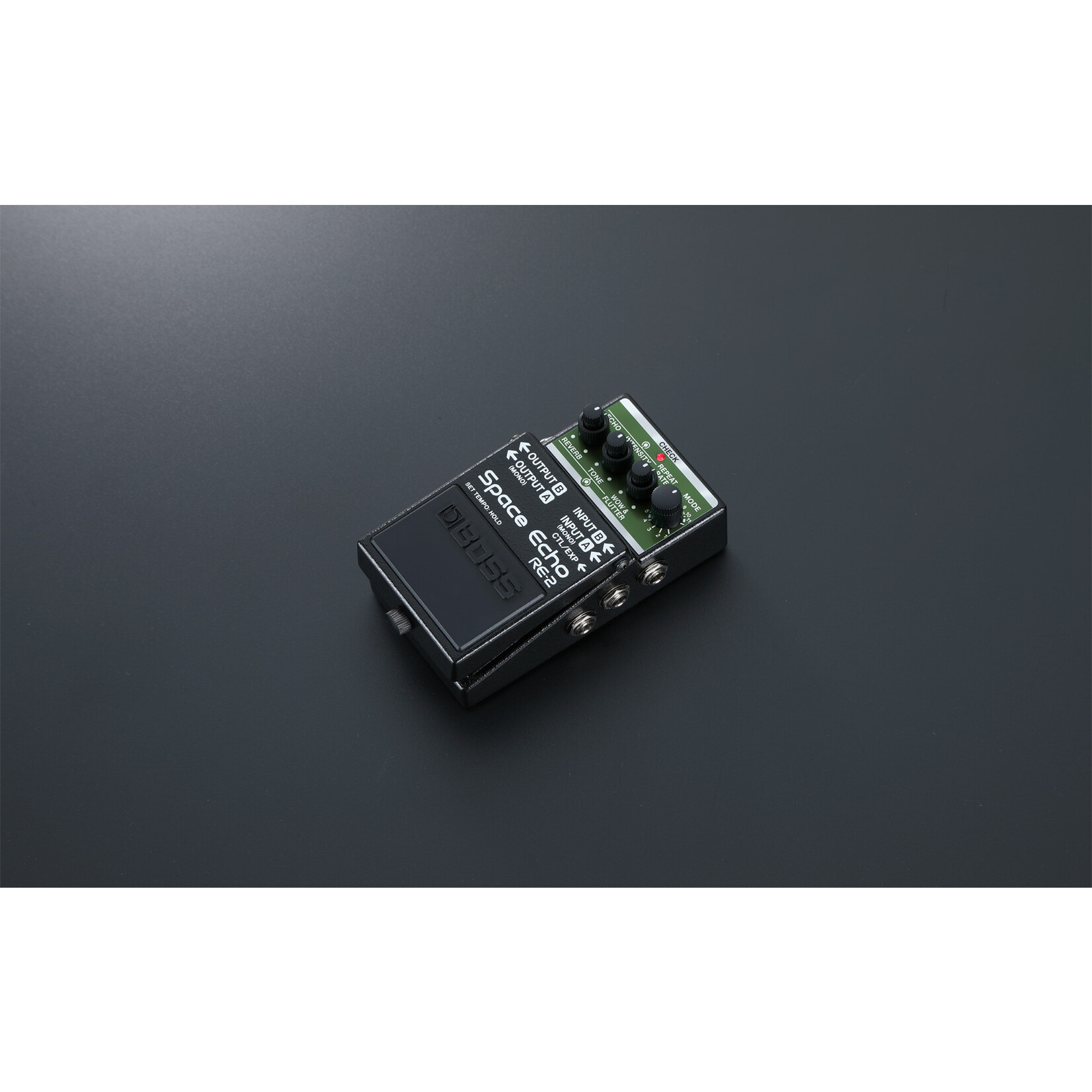 BOSS RE-2 Compact Space Echo