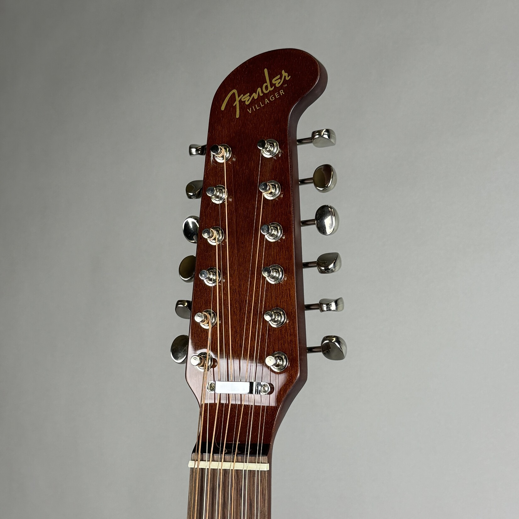 Fender Villager™ 12-String, Walnut Fingerboard, Tortoiseshell Pickguard W/Gig Bag - Aged Natural