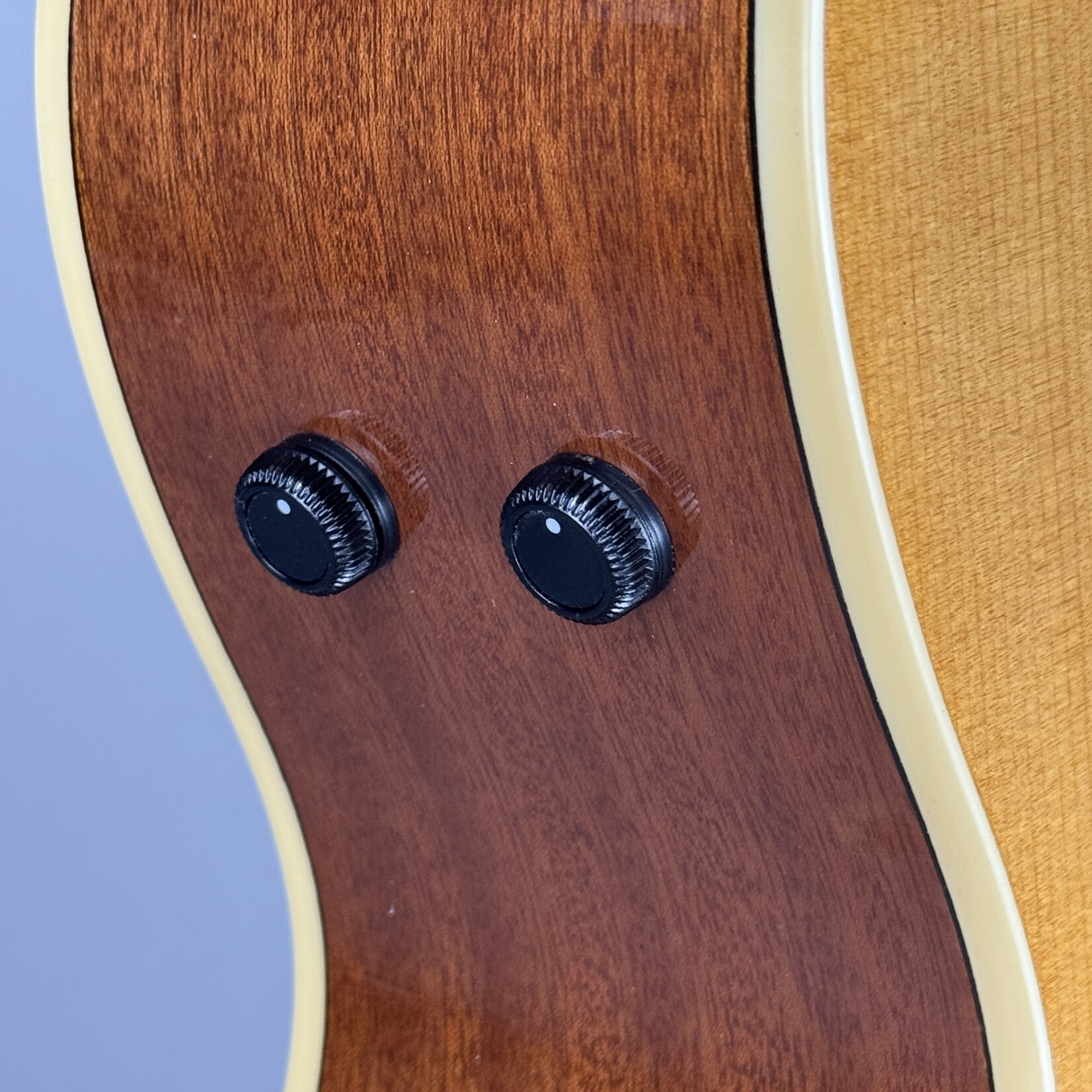 Fender Villager™ 12-String, Walnut Fingerboard, Tortoiseshell Pickguard W/Gig Bag - Aged Natural