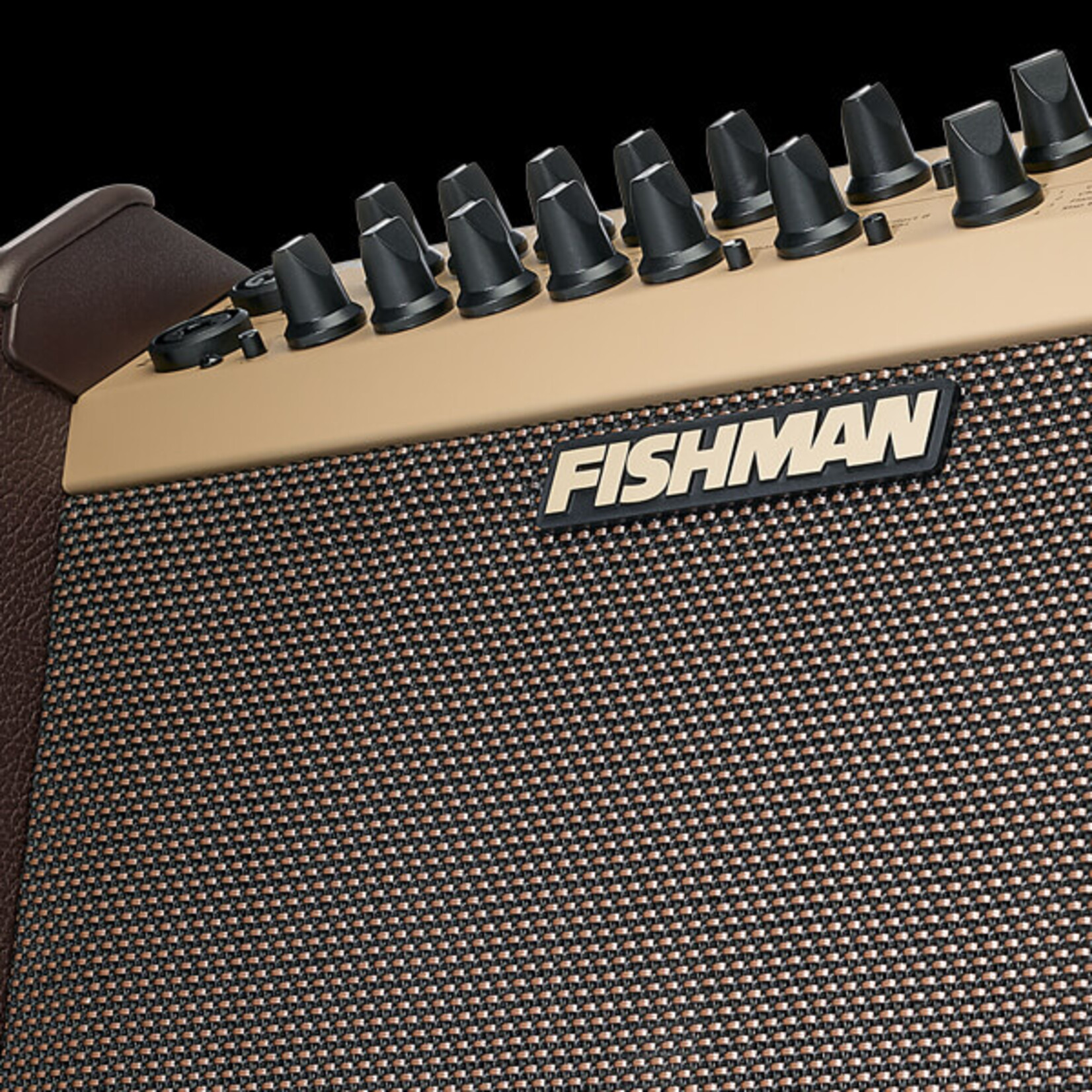 Fishman Loudbox Artist BT 120-Watt 1x8" Acoustic Combo Amp with Tweeter & Bluetooth