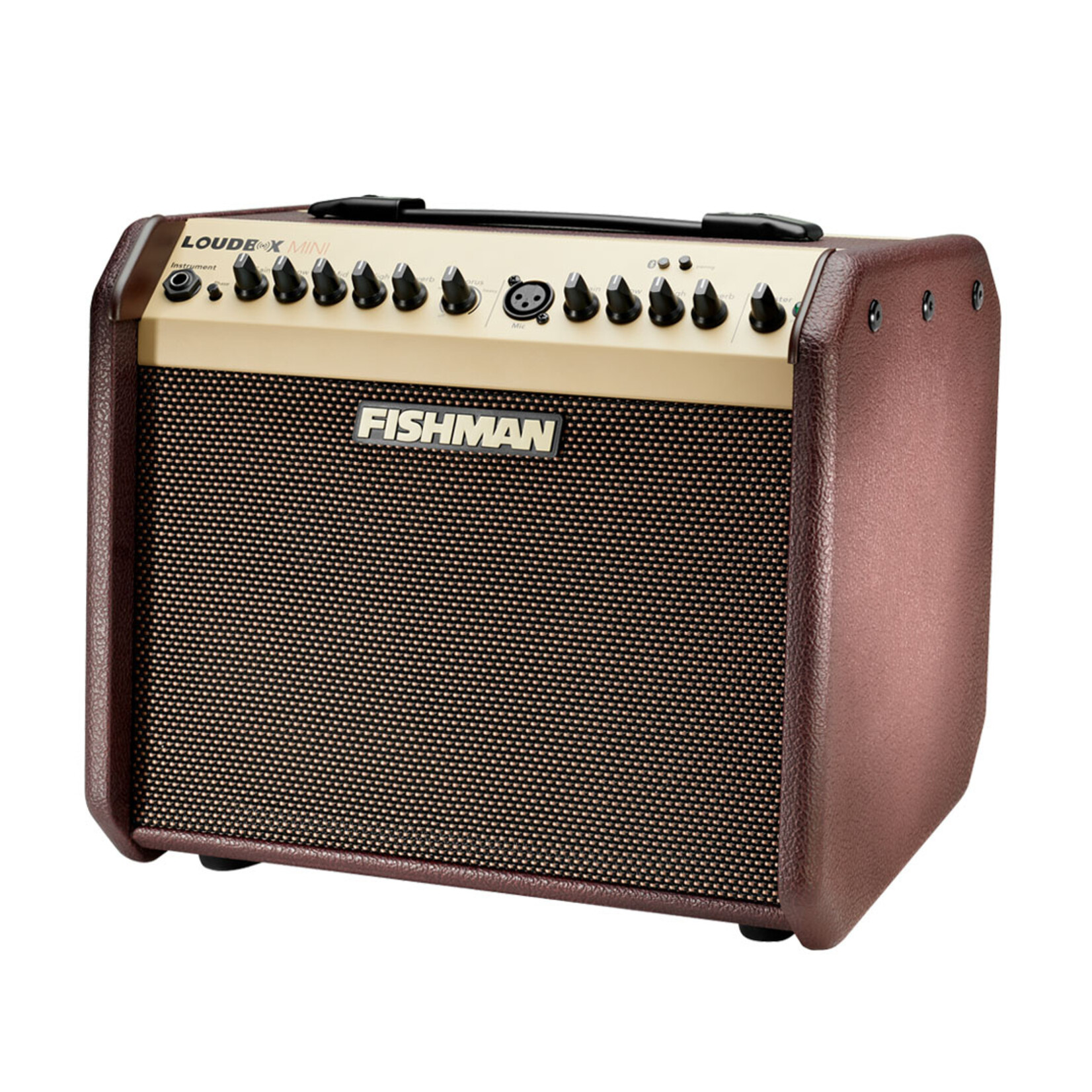 Fishman Loudbox Mini BT 60-Watt 1 x 6.5-inch Acoustic Combo Amp