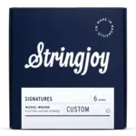 Stringjoy Stringjoy Custom Signatures Nickel Wound Electric Guitar Strings - 9.5-44