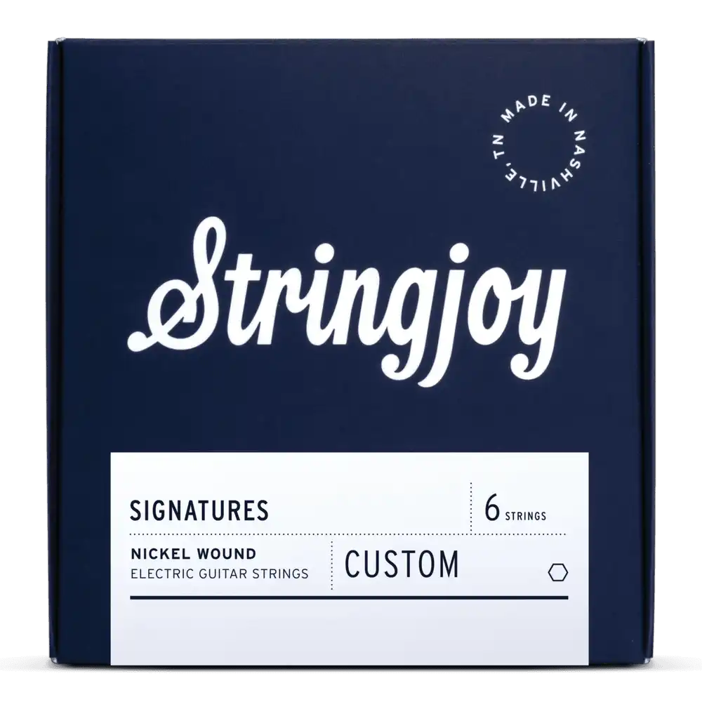 Stringjoy Custom Signatures Nickel Wound Electric Guitar Strings - 9.5-44