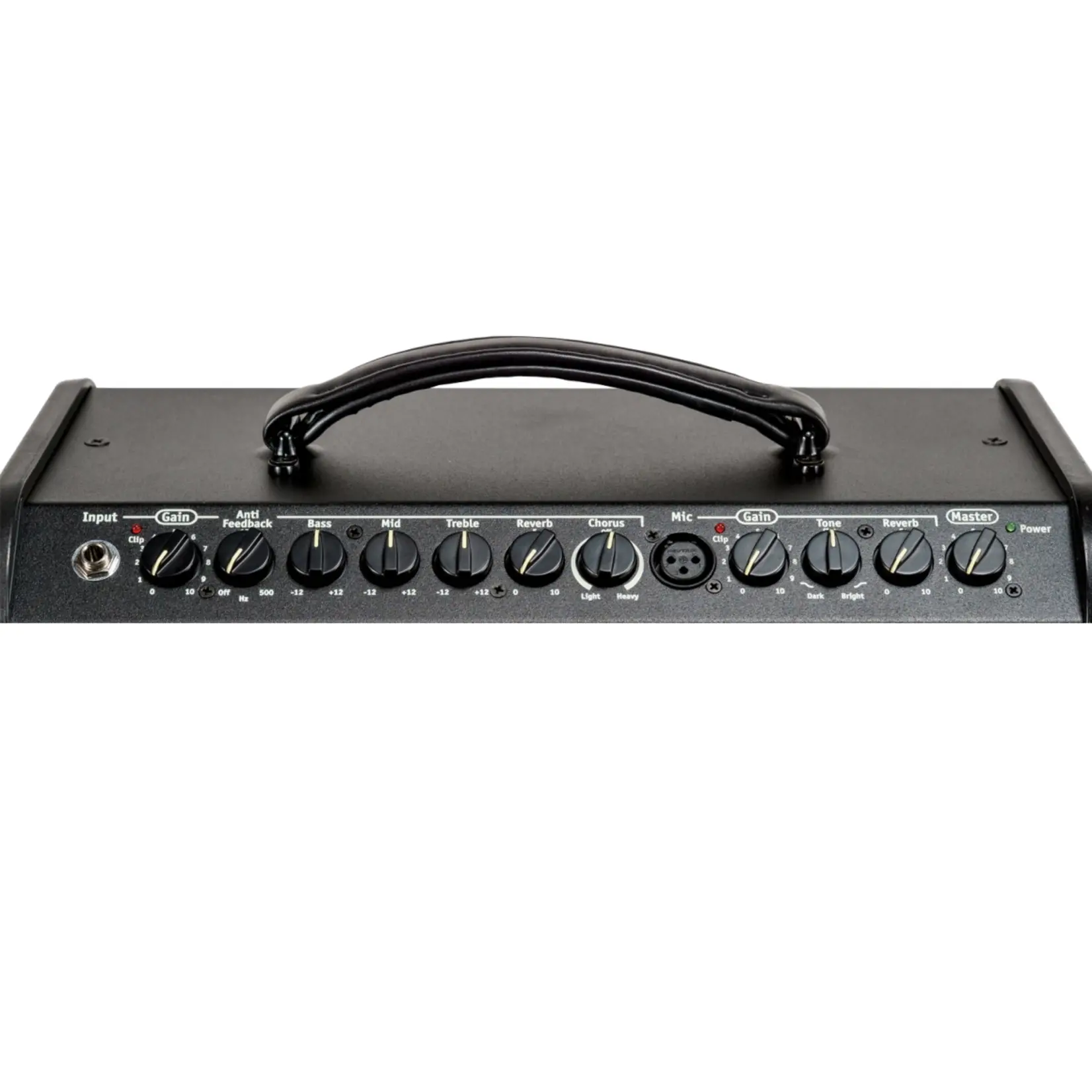 Traynor AM Mini 65W Acoustic Guitar and Mic Amplifier