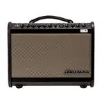 Traynor Traynor AM Mini 65W Acoustic Guitar and Mic Amplifier