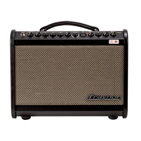 Traynor AM Mini 65W Acoustic Guitar and Mic Amplifier