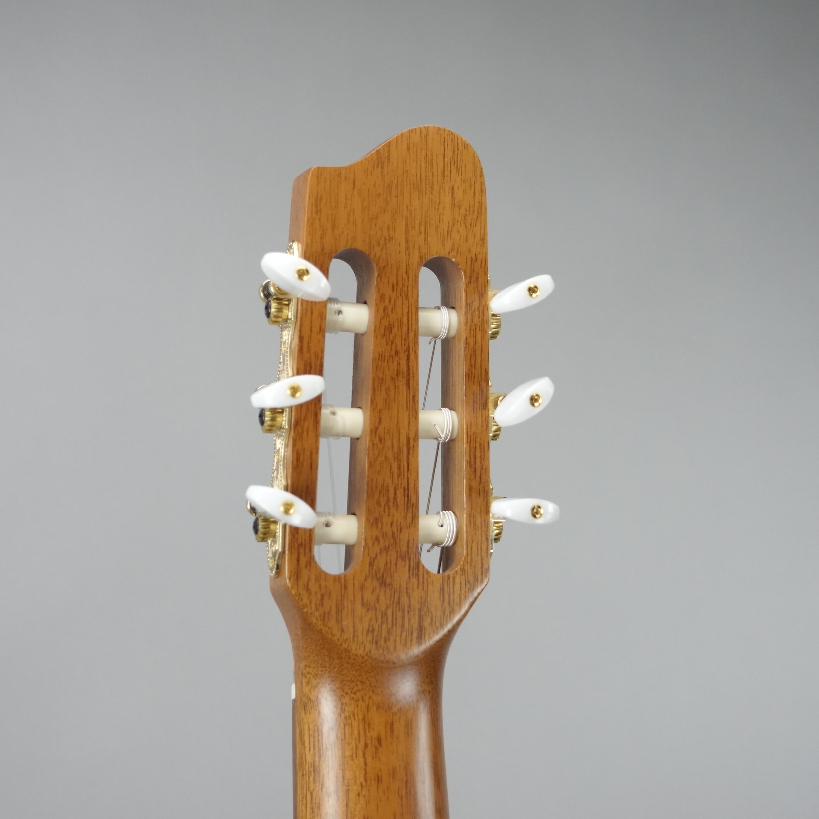 Godin Presentation Clasica II Nylon String Classical Electric Guitar - Natural