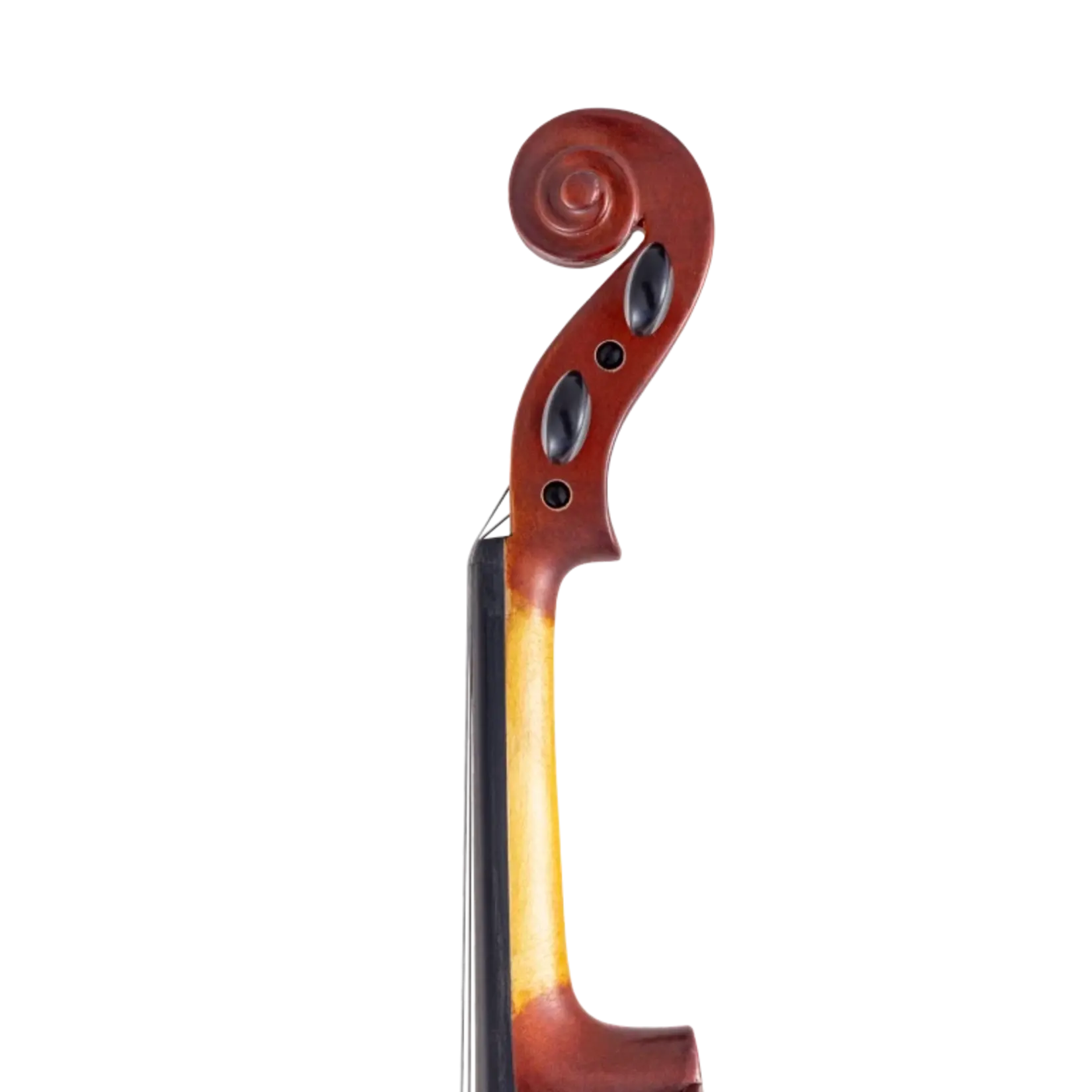 Scherl & Roth Arietta SR41E4H 4/4 Size Student Violin Outfit