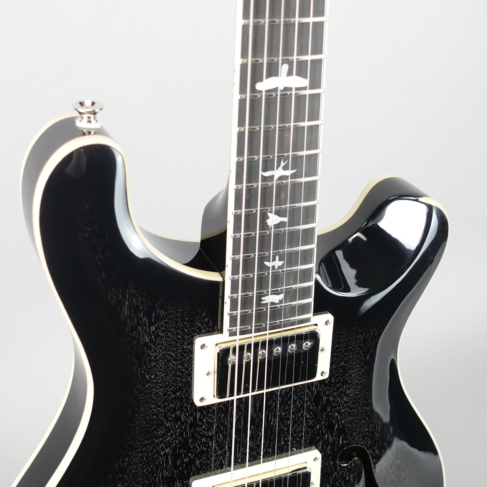 PRS SE Hollowbody Standard Electric Guitar W/Case - Dog Hair Smokeburst