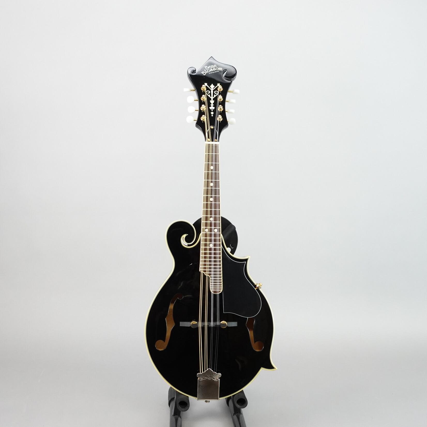 Morgan Monroe Bean Blossom BM-100 F-Style Mandolin W/Case - Black (Used)