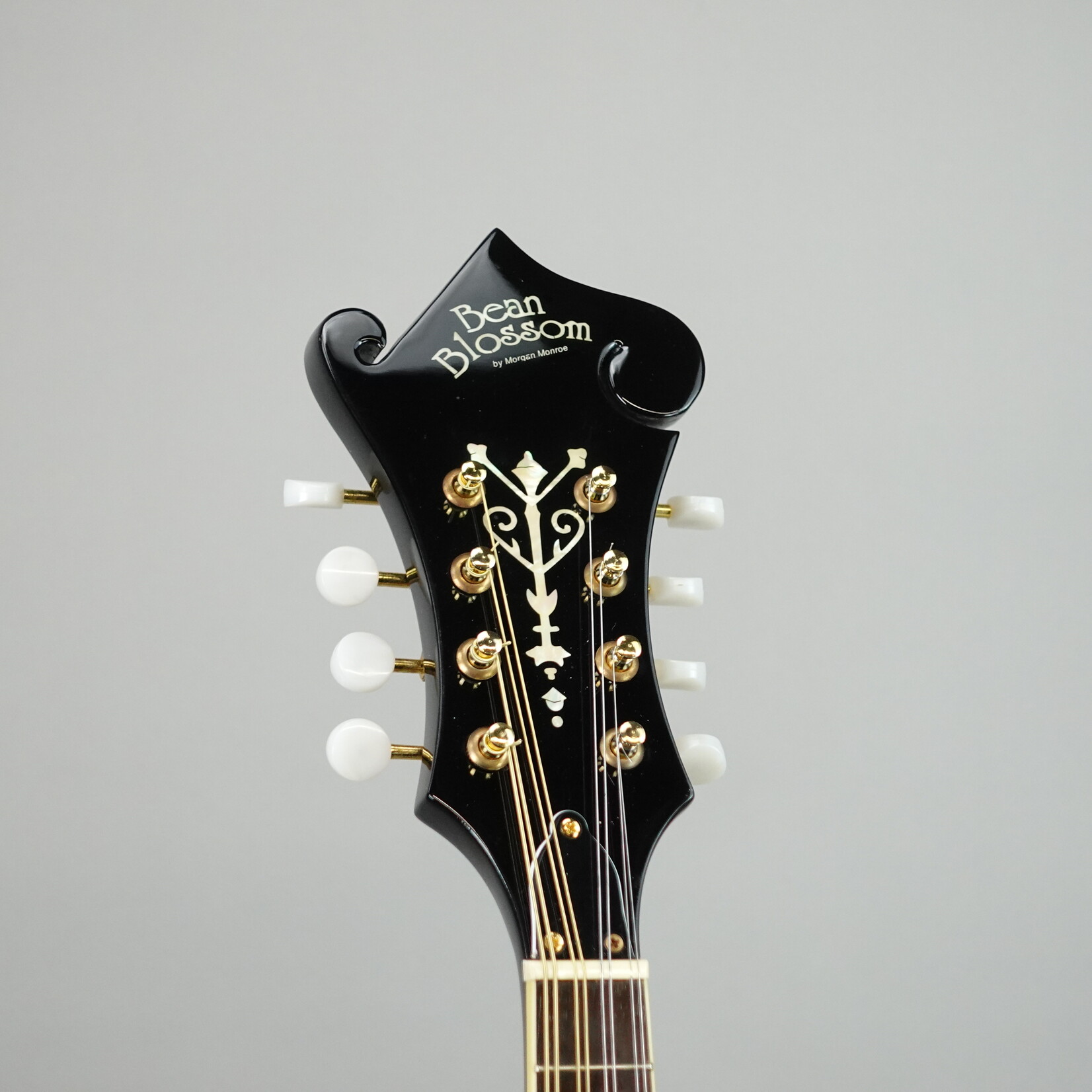 Morgan Monroe Bean Blossom BM-100 F-Style Mandolin W/Case - Black (Used)