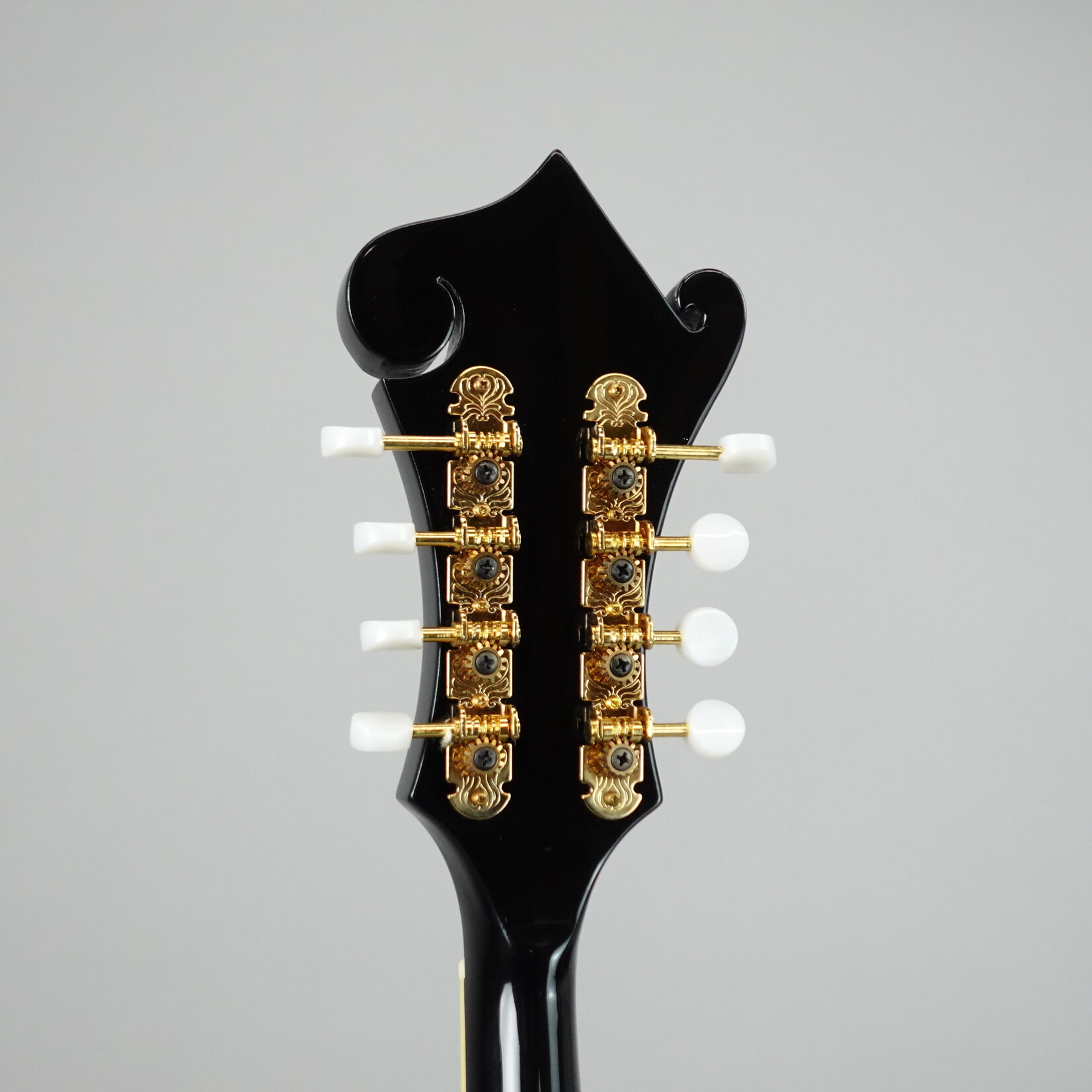 Morgan Monroe Bean Blossom BM-100 F-Style Mandolin W/Case - Black (Used)