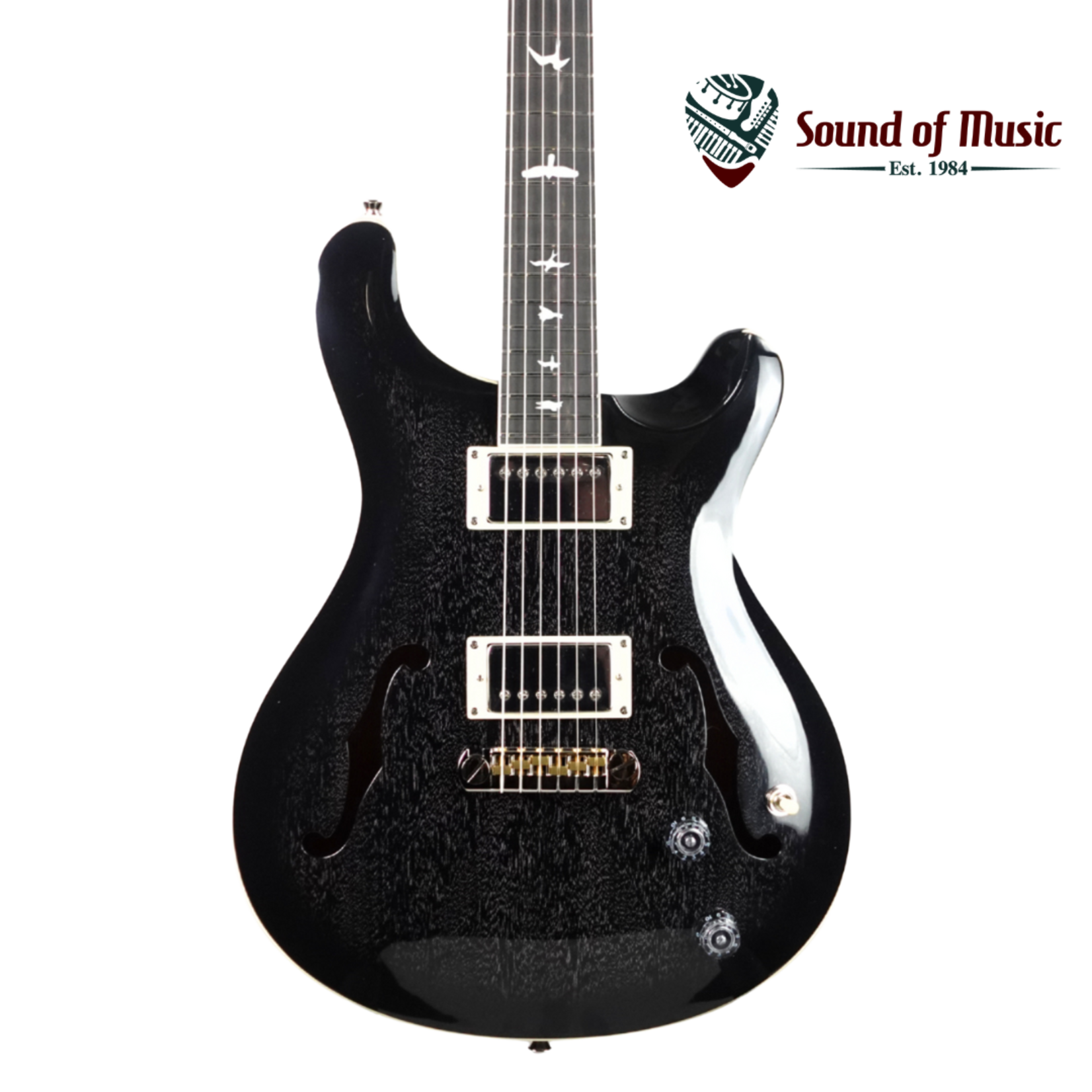 PRS SE Hollowbody Standard Electric Guitar W/Case - Dog Hair Smokeburst