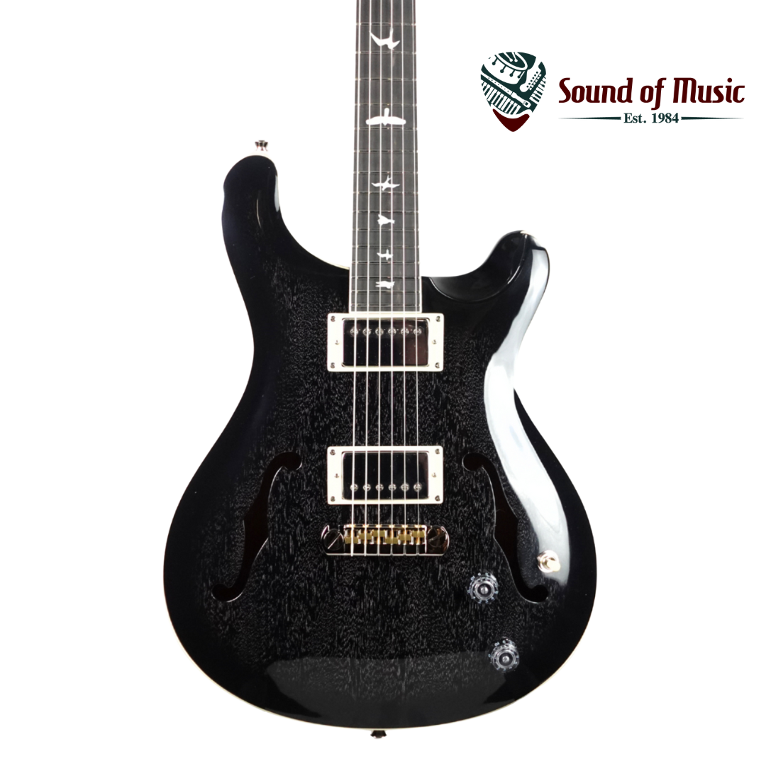 PRS SE Hollowbody Standard Electric Guitar W/Case - Dog Hair Smokeburst