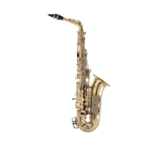 Selmer SAS301 Alto Saxophone Outfit