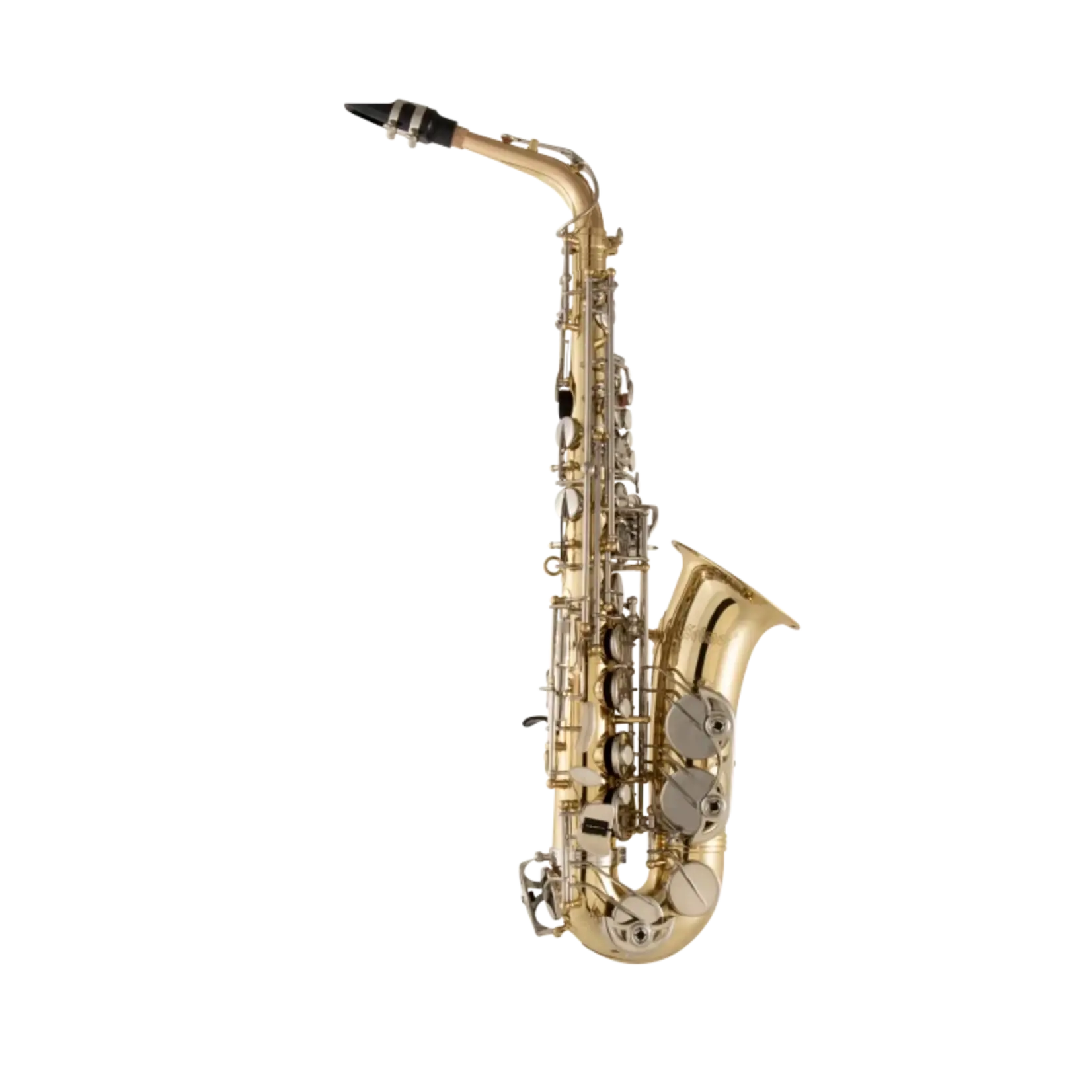 Selmer SAS301 Alto Saxophone Outfit