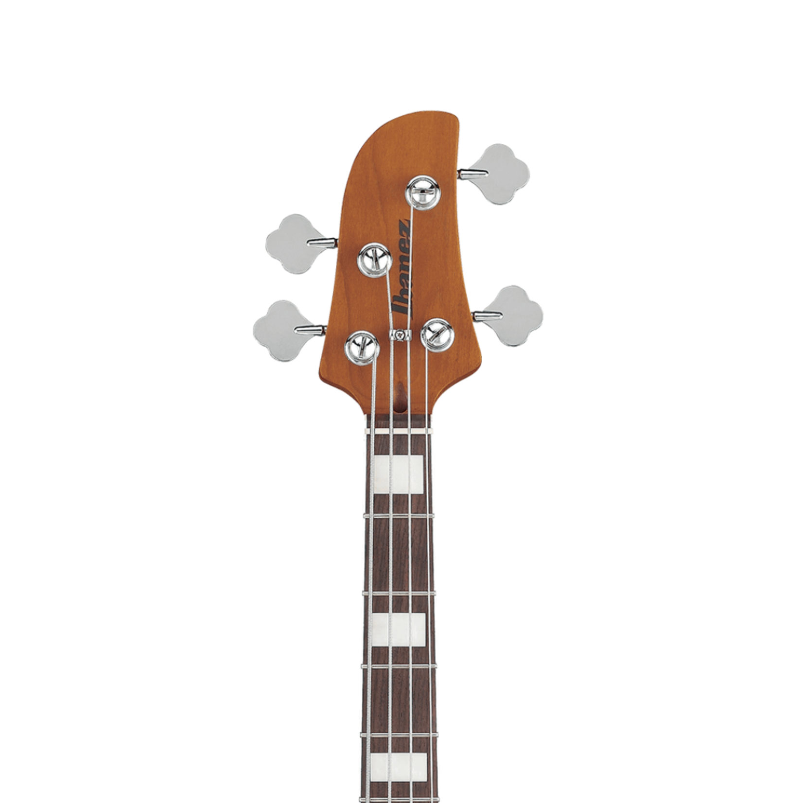 Ibanez Talman Bass Standard - Iced Americano Burst