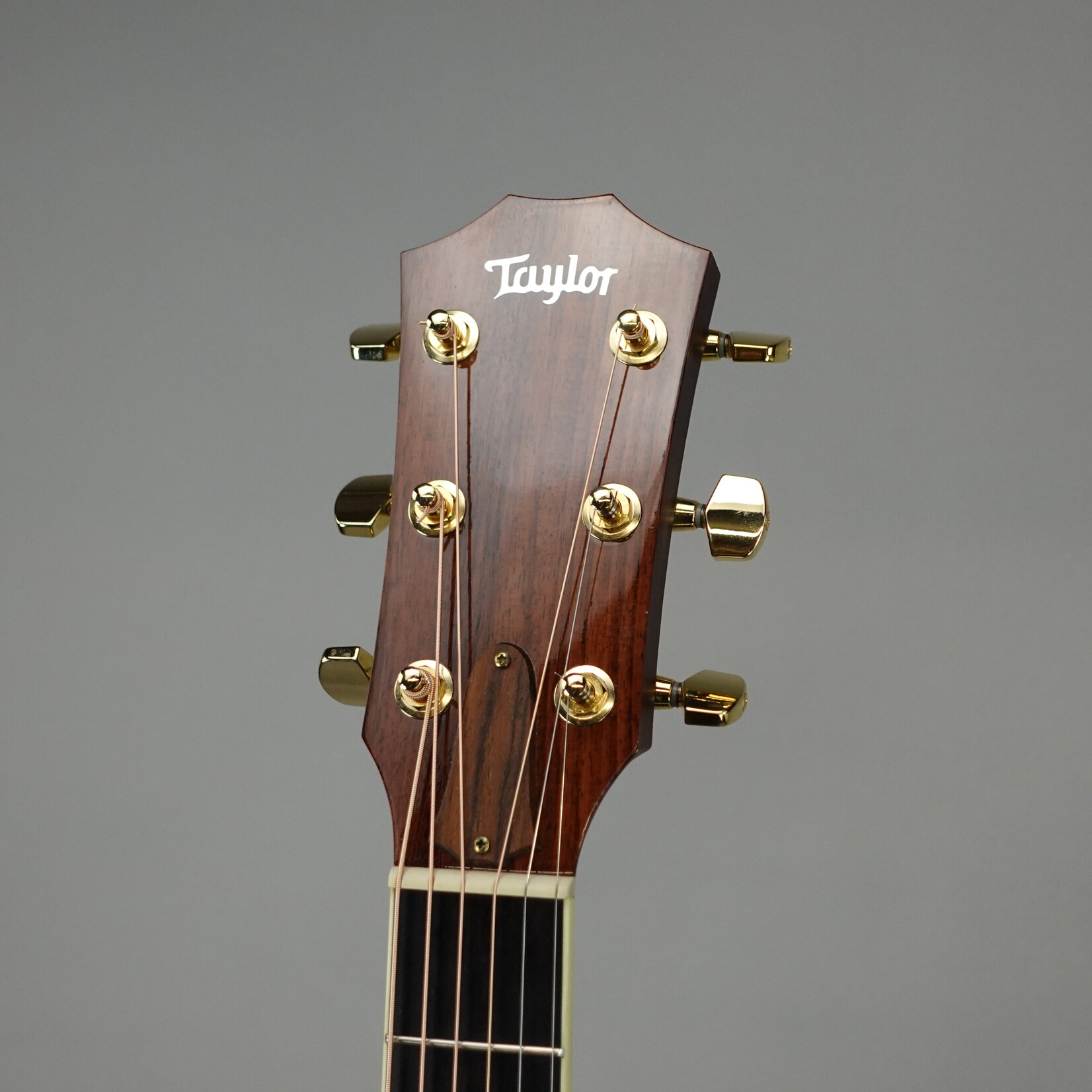 Taylor 2010 GS5 Acoustic Guitar W/Case - (Used)