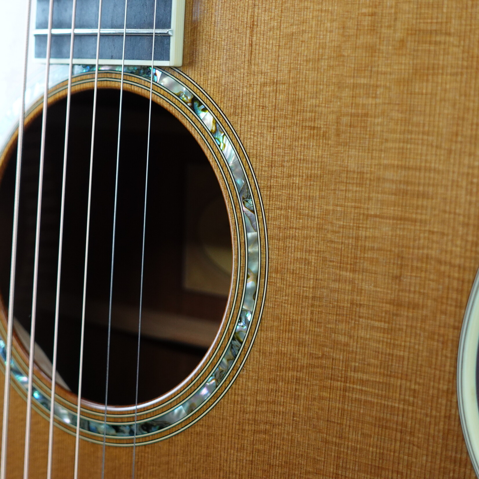 Taylor 2010 GS5 Acoustic Guitar W/Case - (Used)